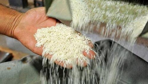 واردات برنج از ۱۵ آذر ازسر گرفته می شود