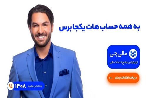 مالی چی واسط حسابداران و كسب و كارها