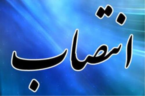 سه انتصاب جدید در دانشگاه های کشور