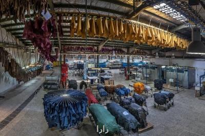 چرم مشهد در راه حرکت به سمت مد پایدار