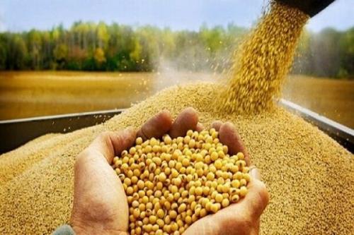 تاخیر ۴ ماهه در تحویل نهاده های دامی