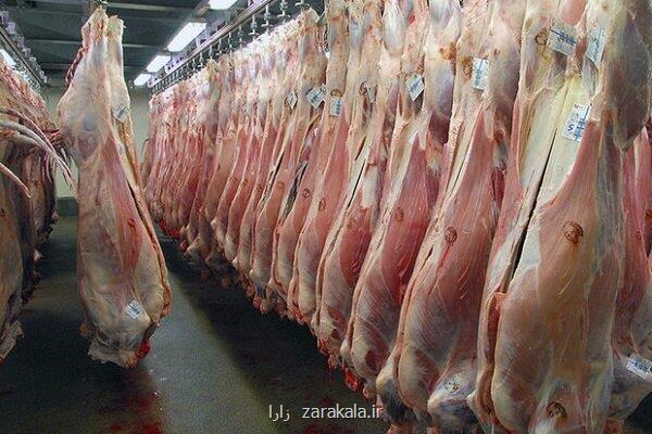 قیمت نهاده های دام عامل گرانی گوشت قرمز است