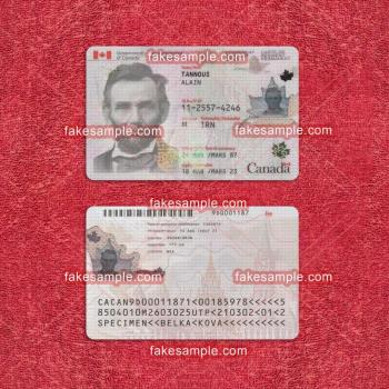 Spain Residence Card Fake Template
