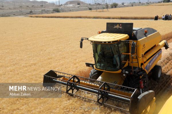 آمادگی شرکت بازرگانی دولتی برای خرید تمام گندم تولیدی کشور