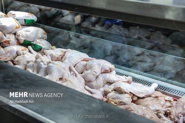 قیمت جدید مرغ زنده و گوشت مرغ منجمد