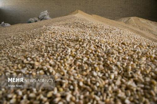 معاونان وزارت کشاورزی به سازمان بازرسی فراخوانده شدند