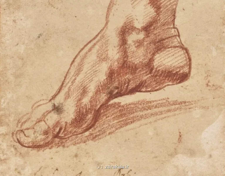 میکل آنژ شگفتی آفرید