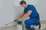 چگونه پیش از تابستان خانه را سمپاشی كنیم؟