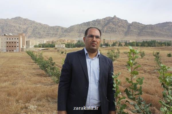 ایجاد ۱۶ هكتار باغ در دانشگاه لرستان