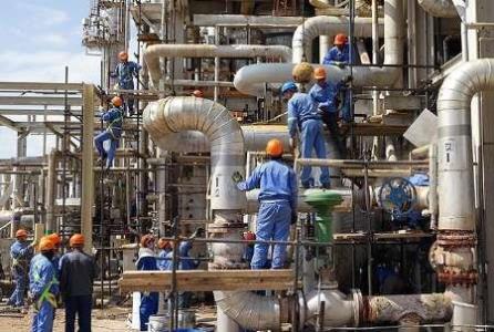 راه اندازی دانشكده مهندسی شیمی و نفت در دانشگاه هرمزگان، در دستور كار است