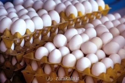 افزایش ۲۰درصدی مصرف تخم مرغ