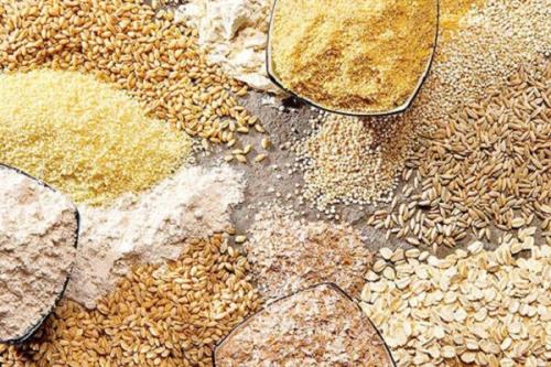 بخشی از جوهای وارداتی در بنادر از بین رفت!