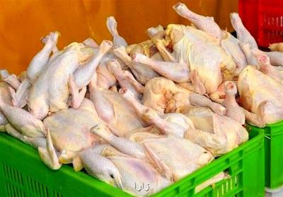 آغاز عرضه مرغ با قیمت مصوب در میدان بهمن تهران